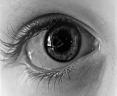 Why a Dilated Eye Exam Could Save Your Sight
